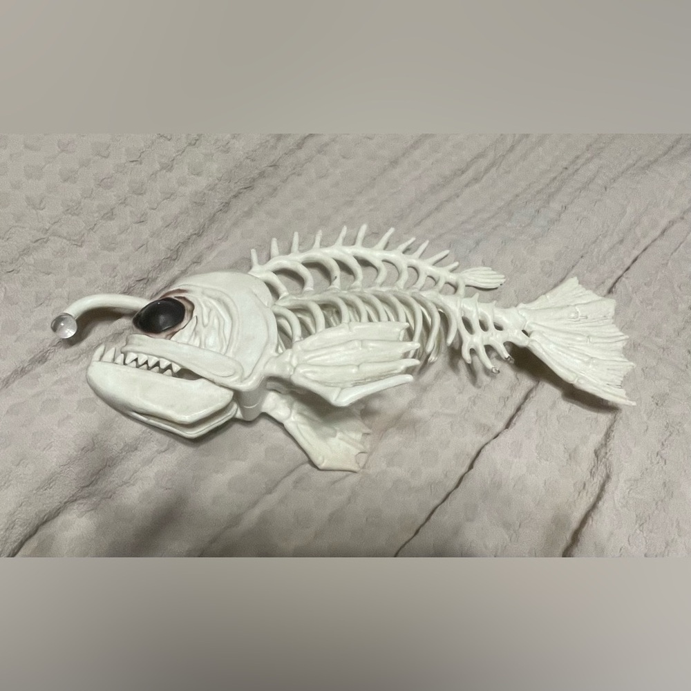 Unique White Fish Skeleton Standing Decor